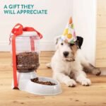 Automatic Pet Food Dispenser – Gravity Self-Feeder | Daily Khazana - Image 3