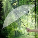Transparent Dome Umbrella – Windproof with Comfortable Curved Handle - Image 3