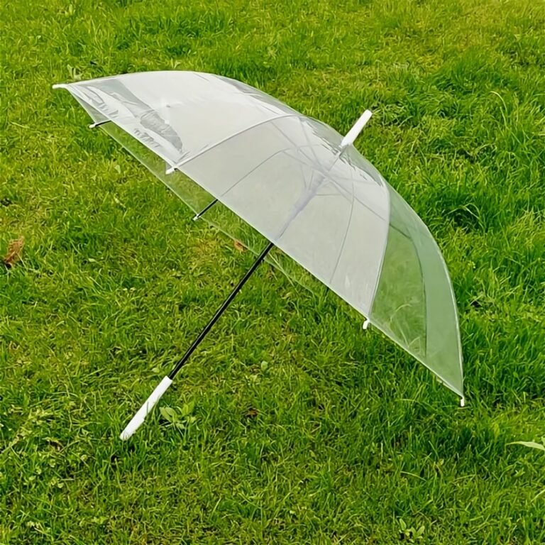 Transparent Dome Umbrella 3